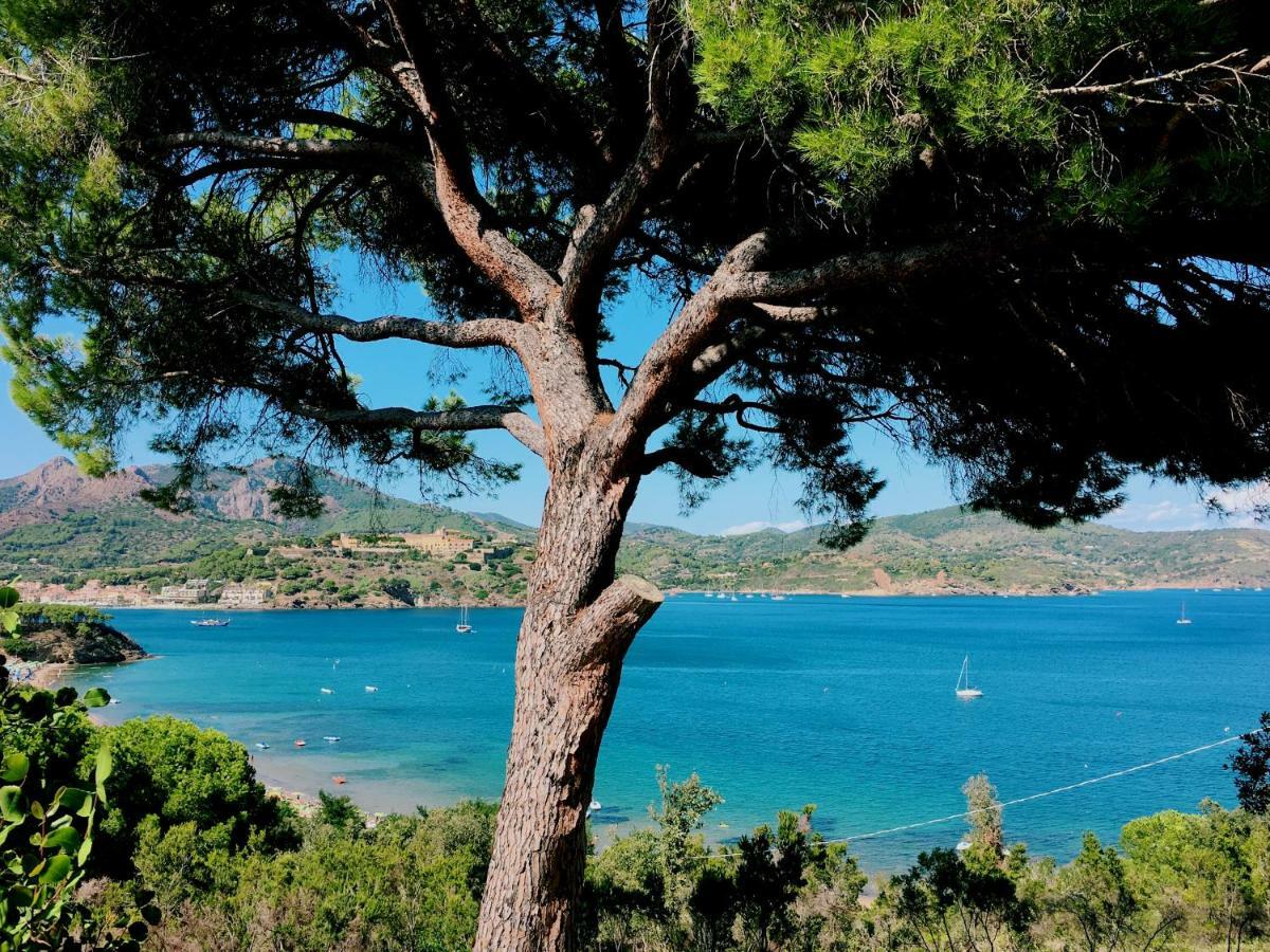 Casa Anna - Capo Perla Apartments Capoliveri  Εξωτερικό φωτογραφία